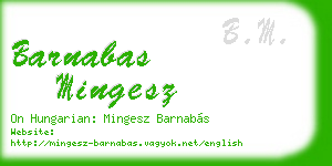 barnabas mingesz business card