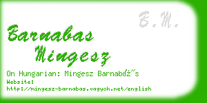 barnabas mingesz business card